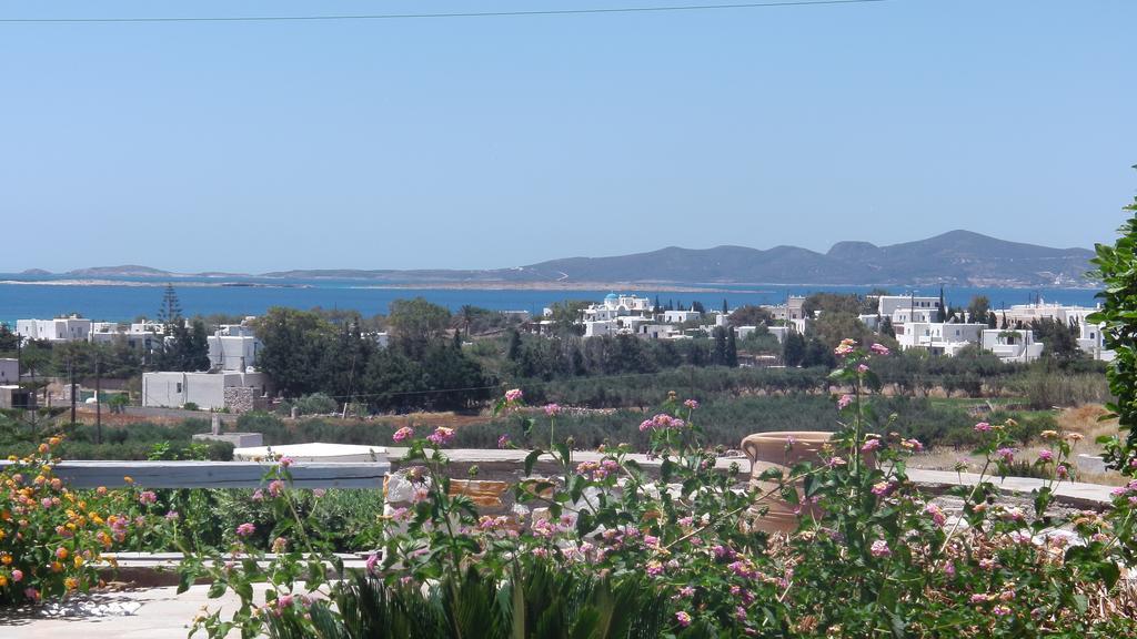 Narkissos Studios Alikí 객실 사진